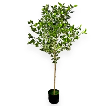 Planta Artificiala Premium Ficus 120CM