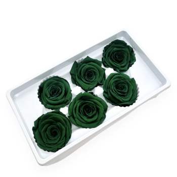 Set 6 Trandafiri Criogenati 5-6cm - Verde Smarald