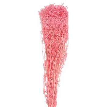 Buchet Broom Bloom Uscat 80g - Roz Inchis