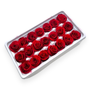 Set 21 Trandafiri Criogenati 3cm - Rosu Inchis
